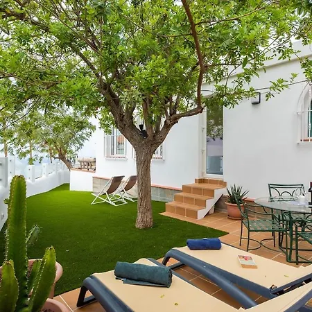 Julia Tenerife 阿德耶